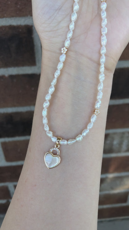 Fleur de Mistissi – Cœur Blanc